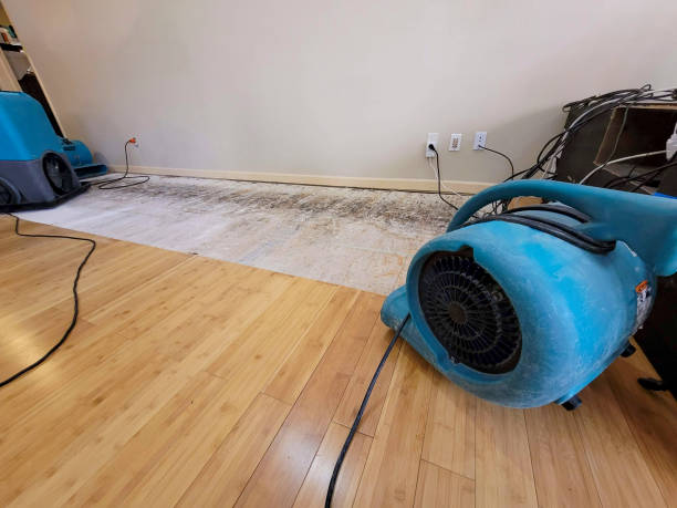 Professional Sewage Cleanup technician working in Lemon Cove, CA